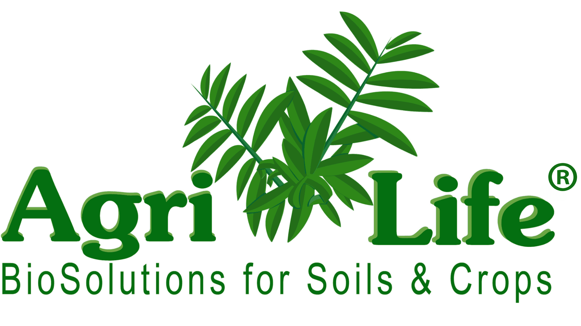 agrilife-logo-high-def.png