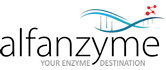 Alfanzyme Bio Solutions - Belgaum, Karnataka